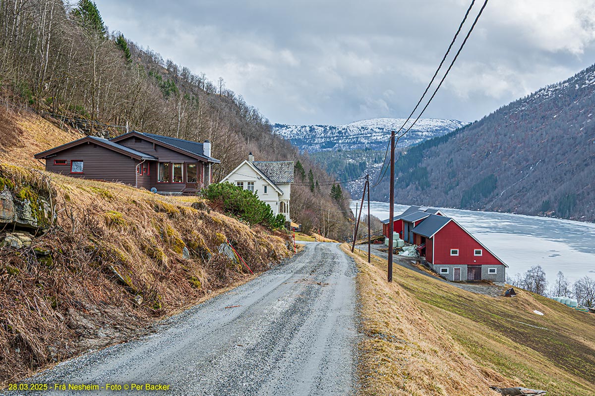 Frå Nesheim