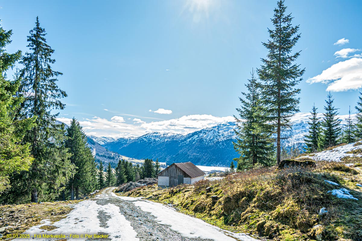 Frå Mørkveslia