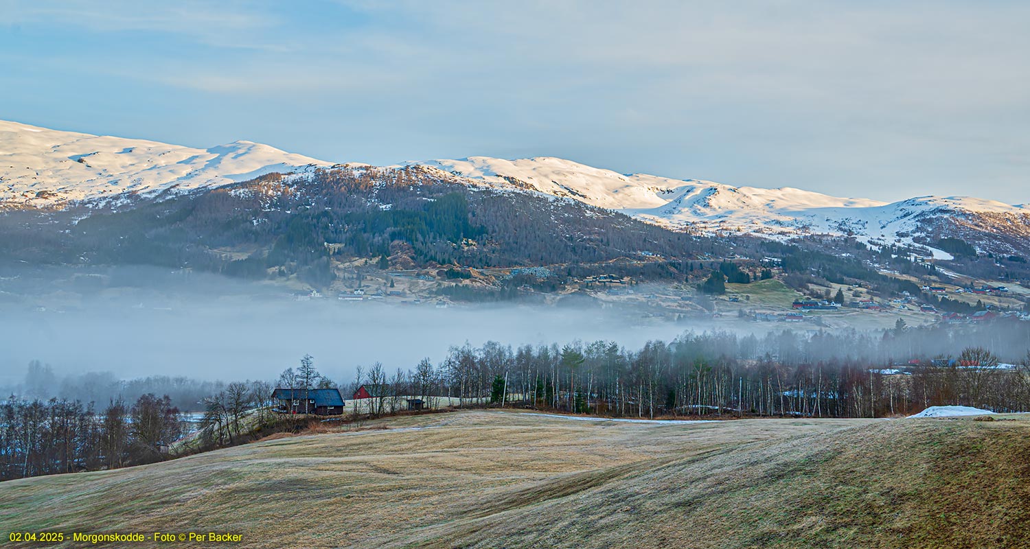 Morgonkodde