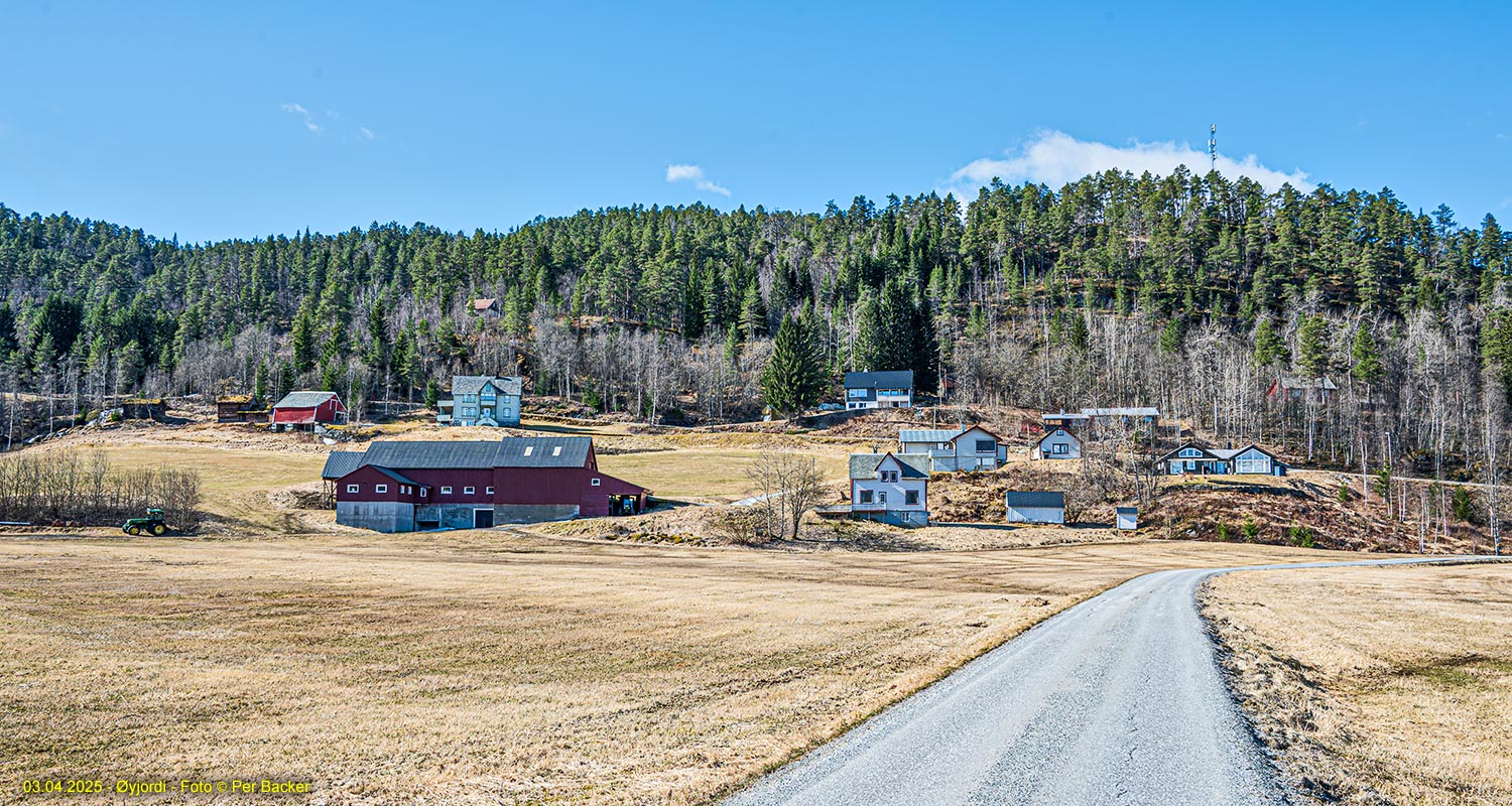 Øyjordi