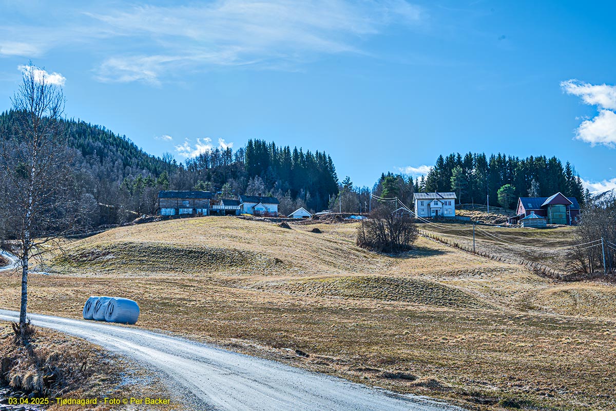 Tjødnagard