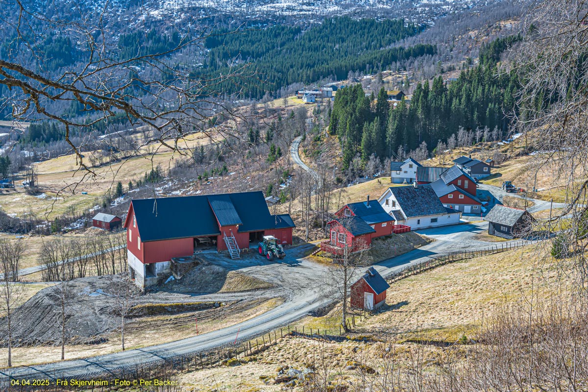 Frå Skjervheim