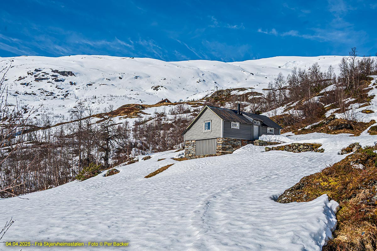 Frå Skjervheimsstølen