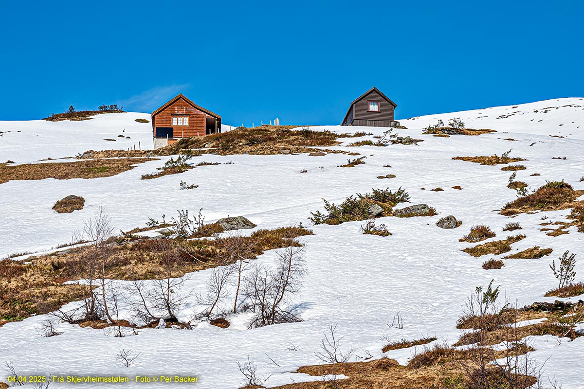 Frå Skjervheimsstølen