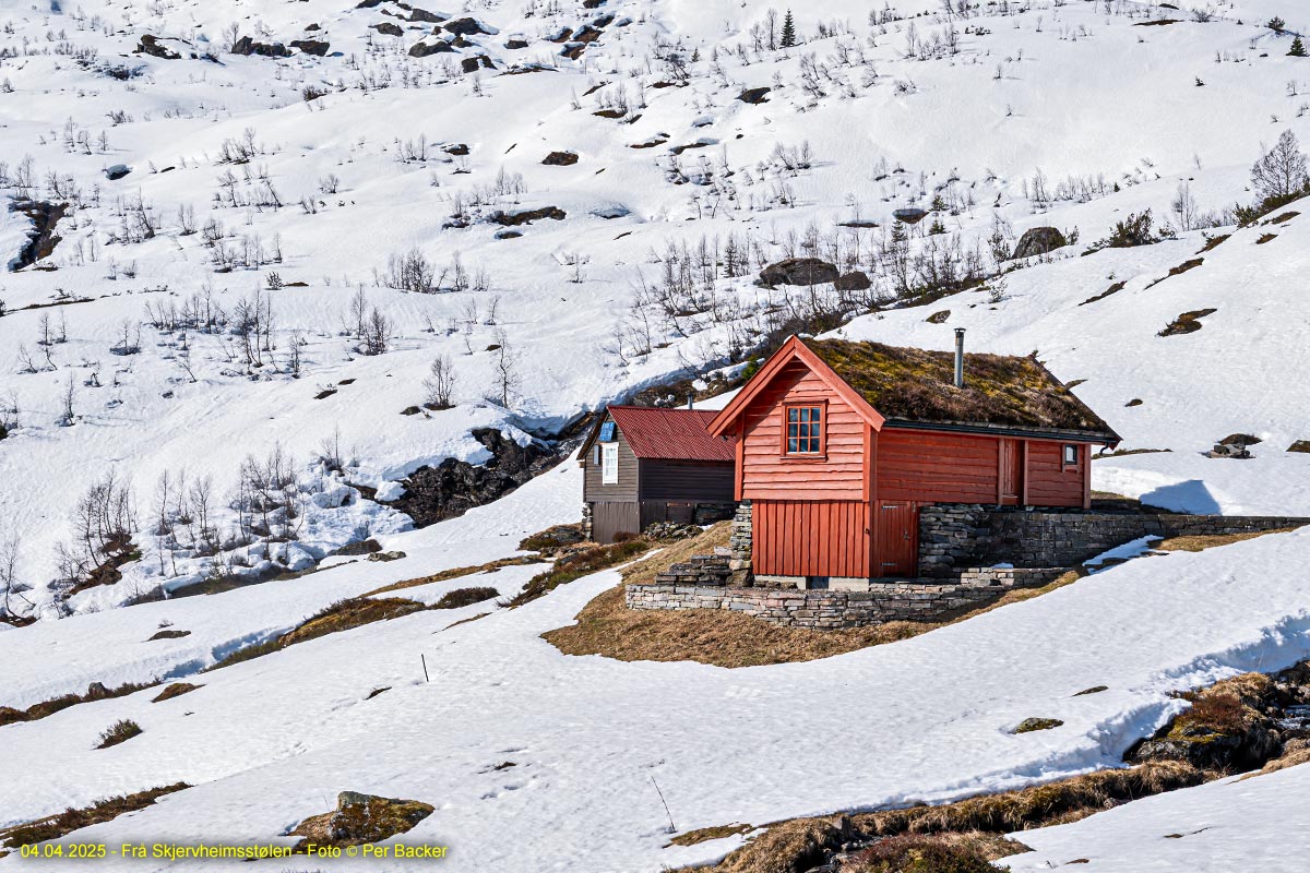 Frå Skjervheimsstølen