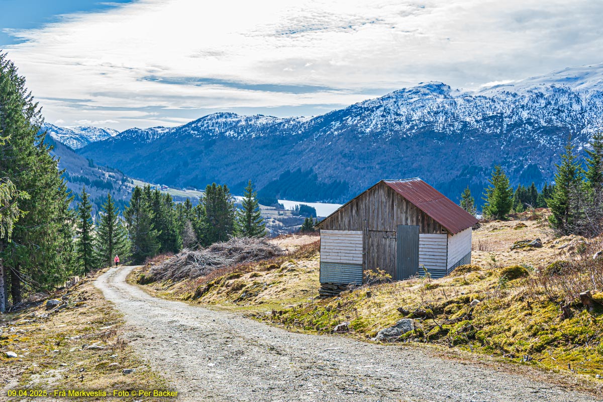 Frå Mørkveslia