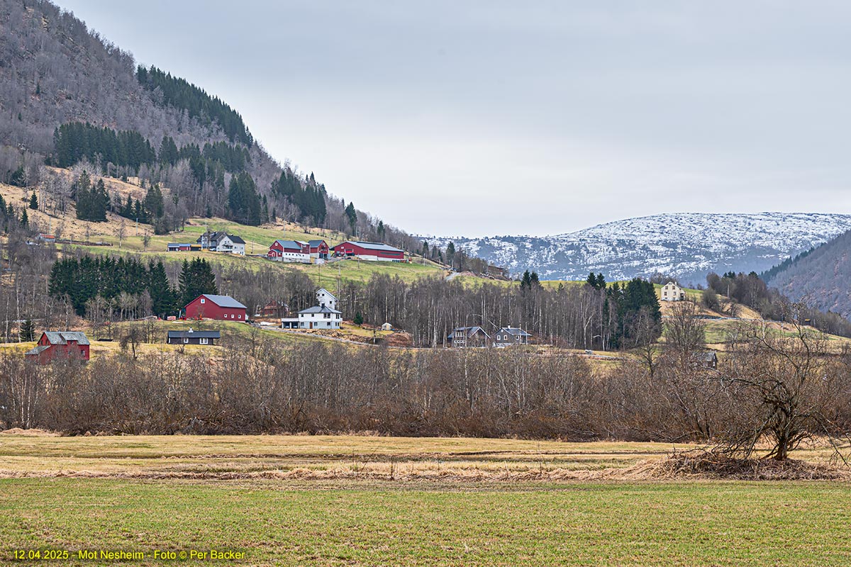 Mot Nesheim