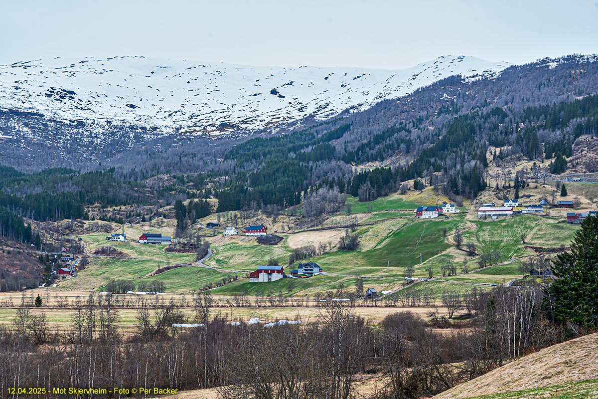Frå Skjervheim