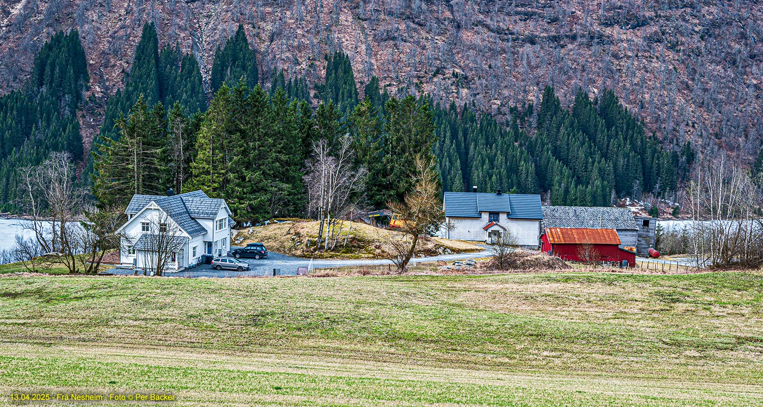 Frå Nesheim