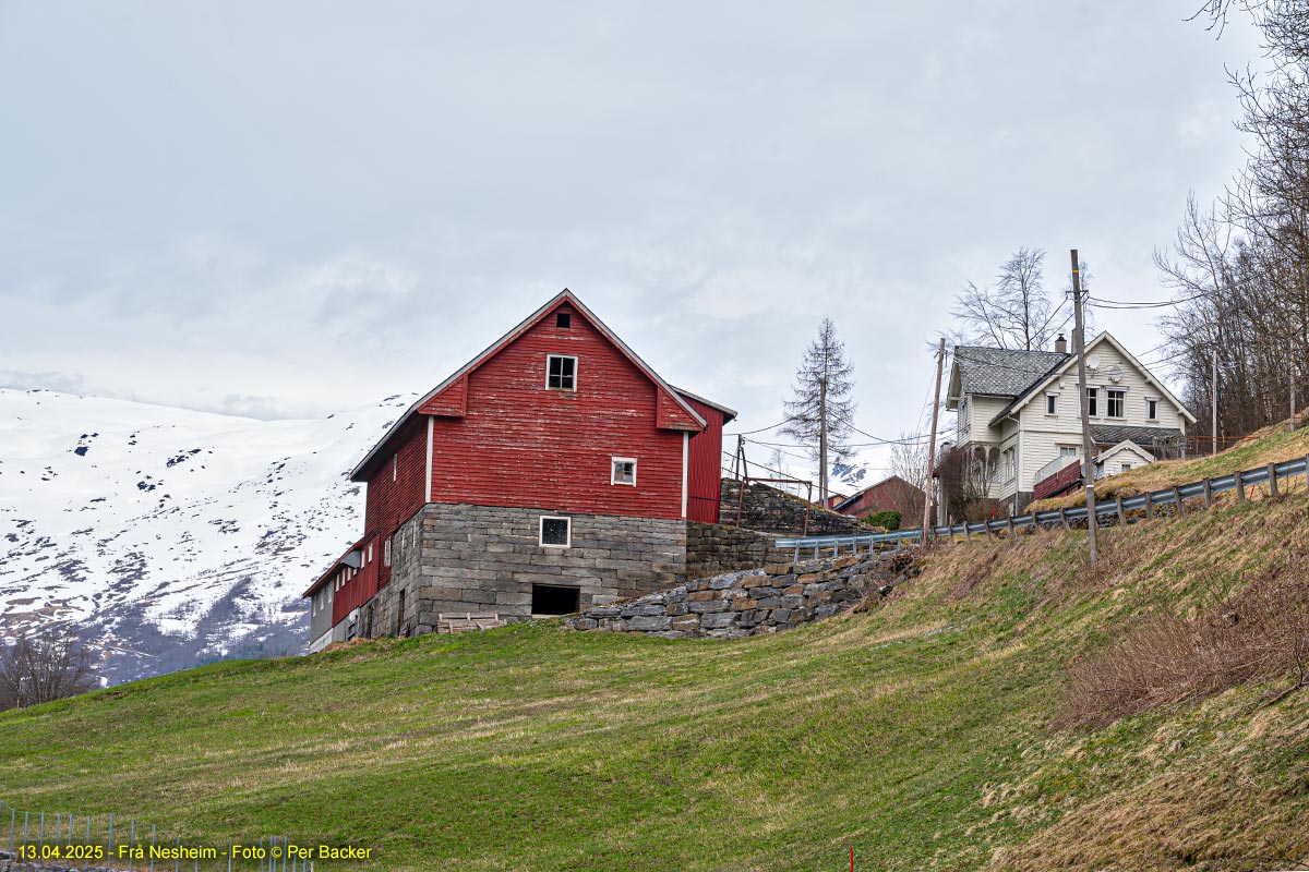 Frå Nesheim