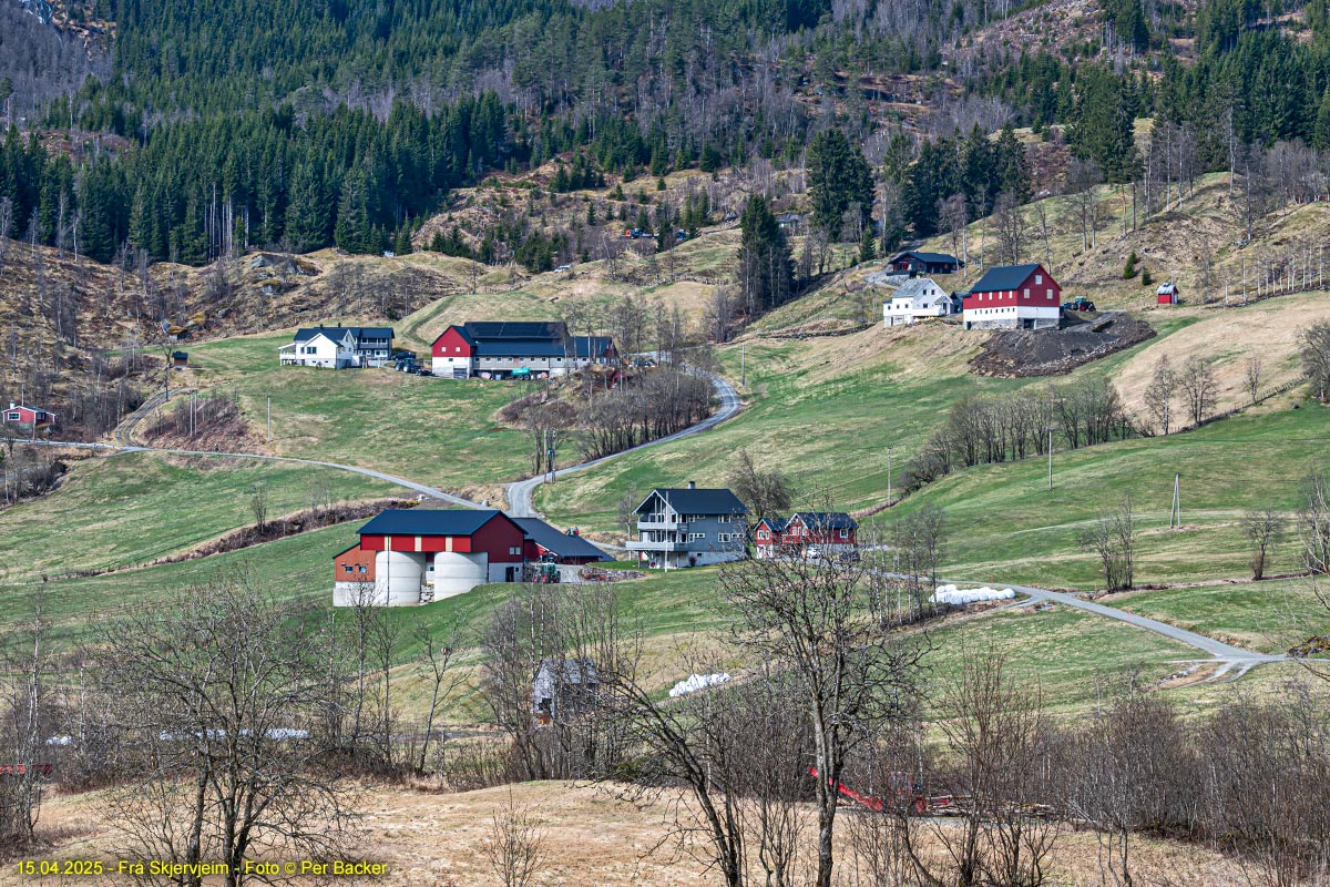 Mot Skjervheim