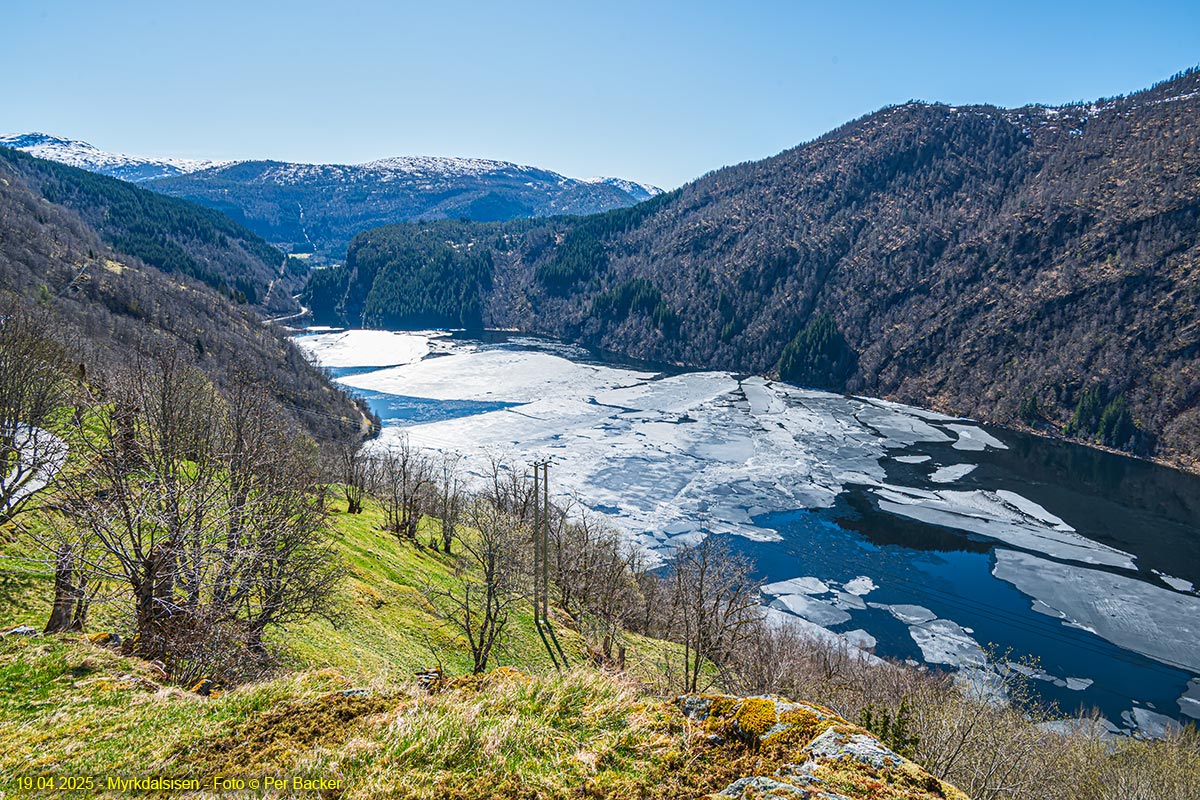 Myrkdalsisen