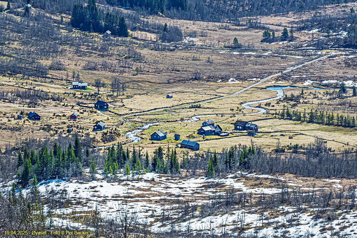 Øyaset