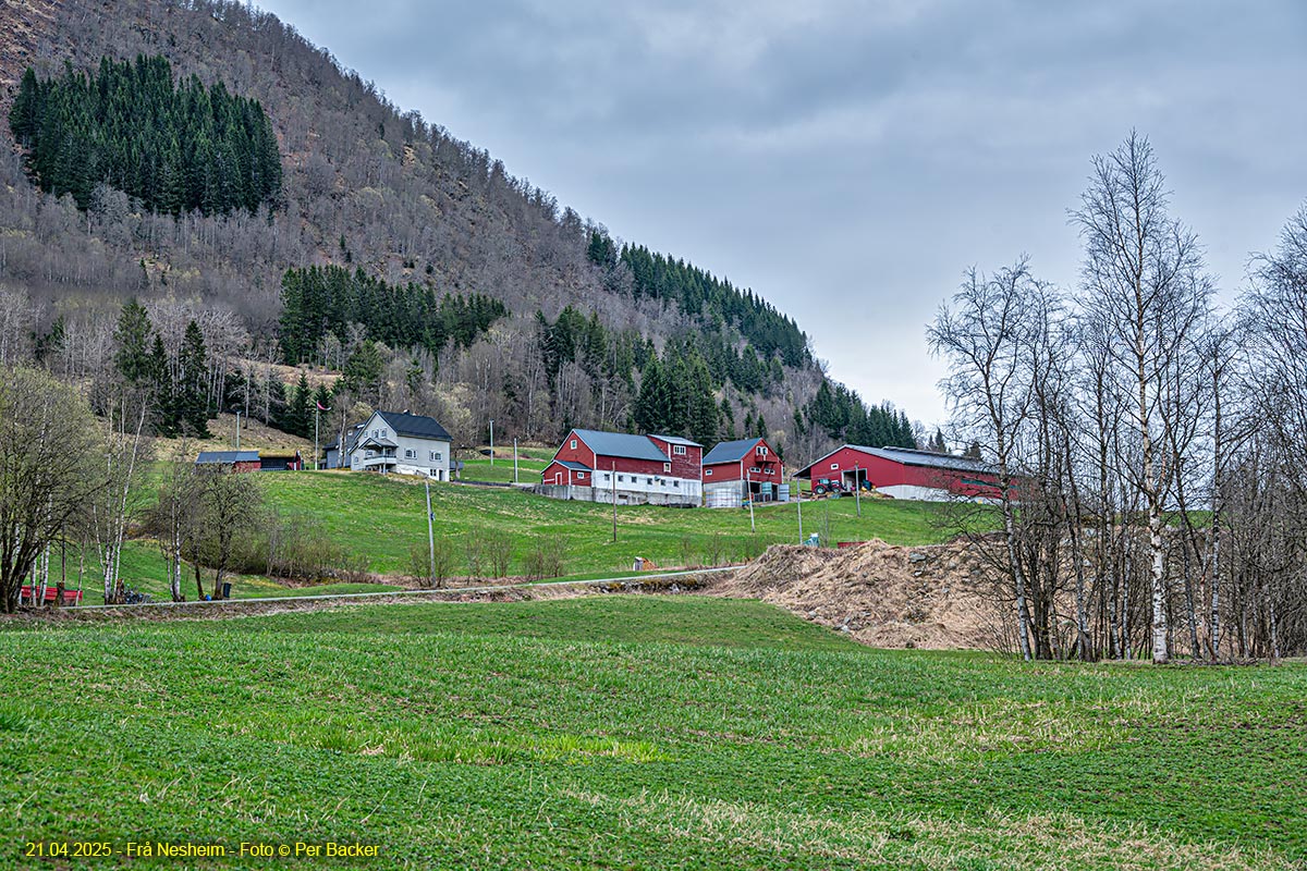 Frå Nesheim