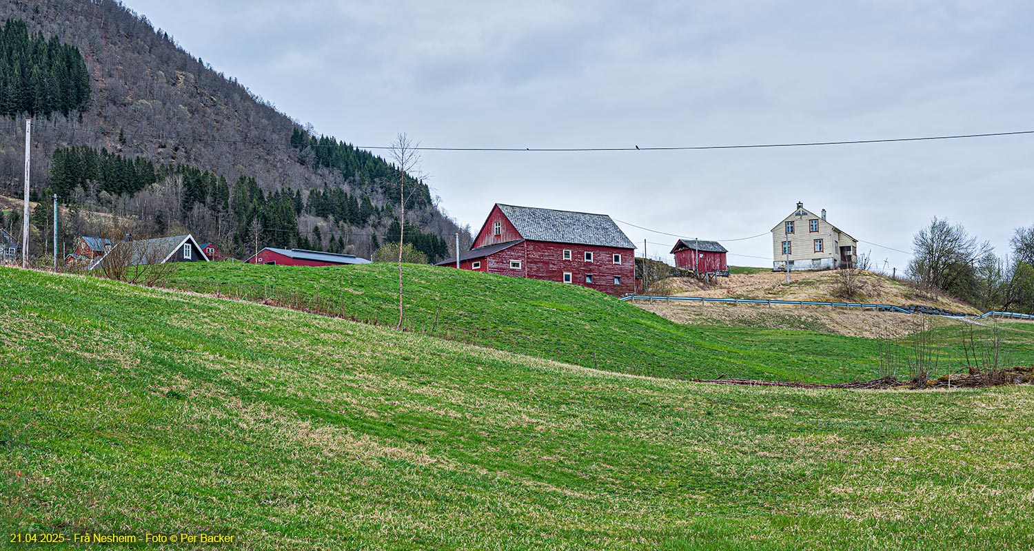 Frå Nesheim