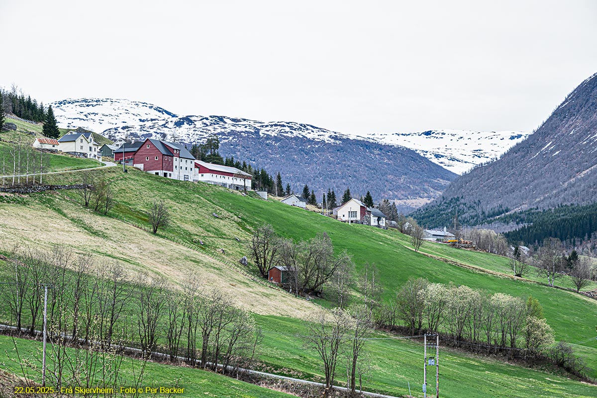 Frå Skjervheim