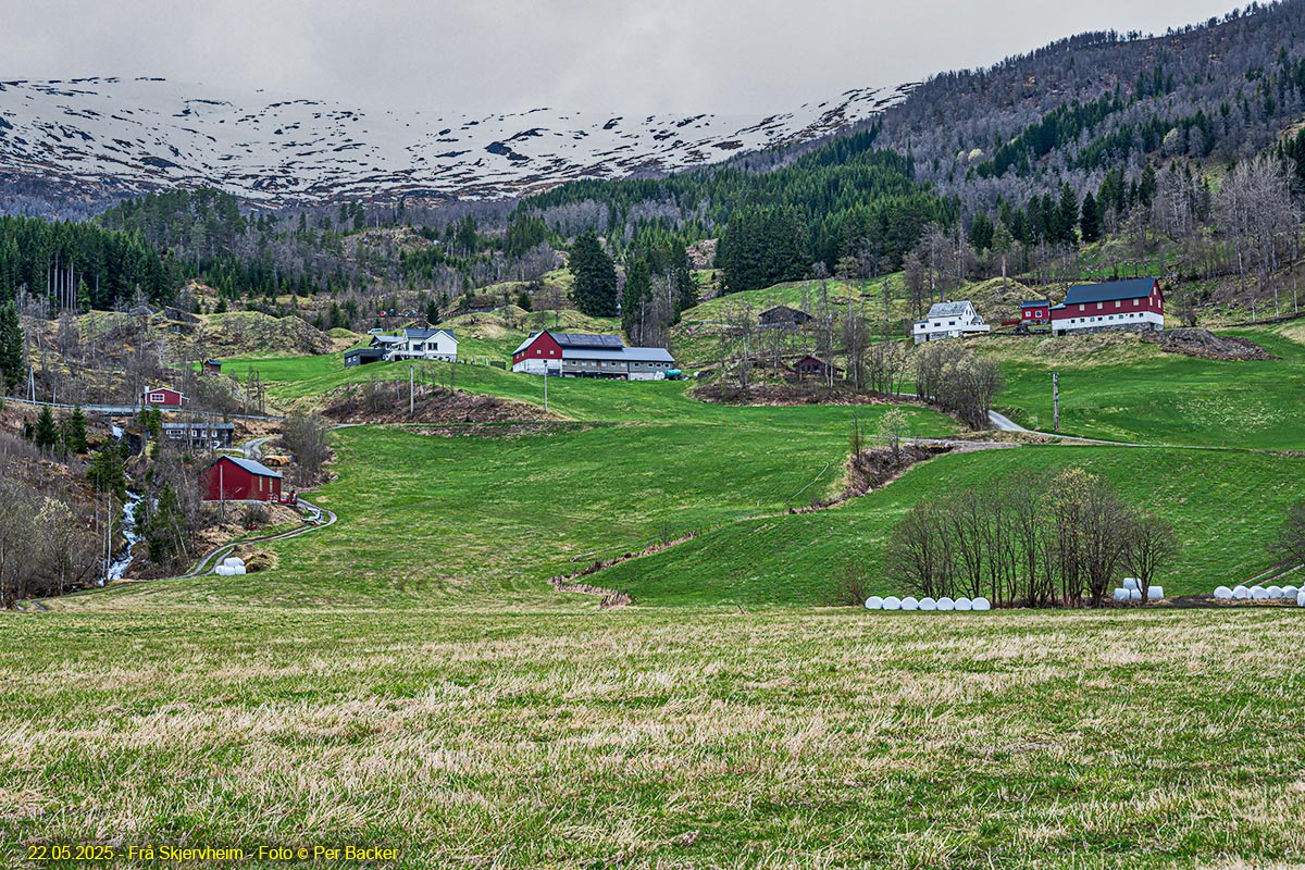 Frå Skjervheim