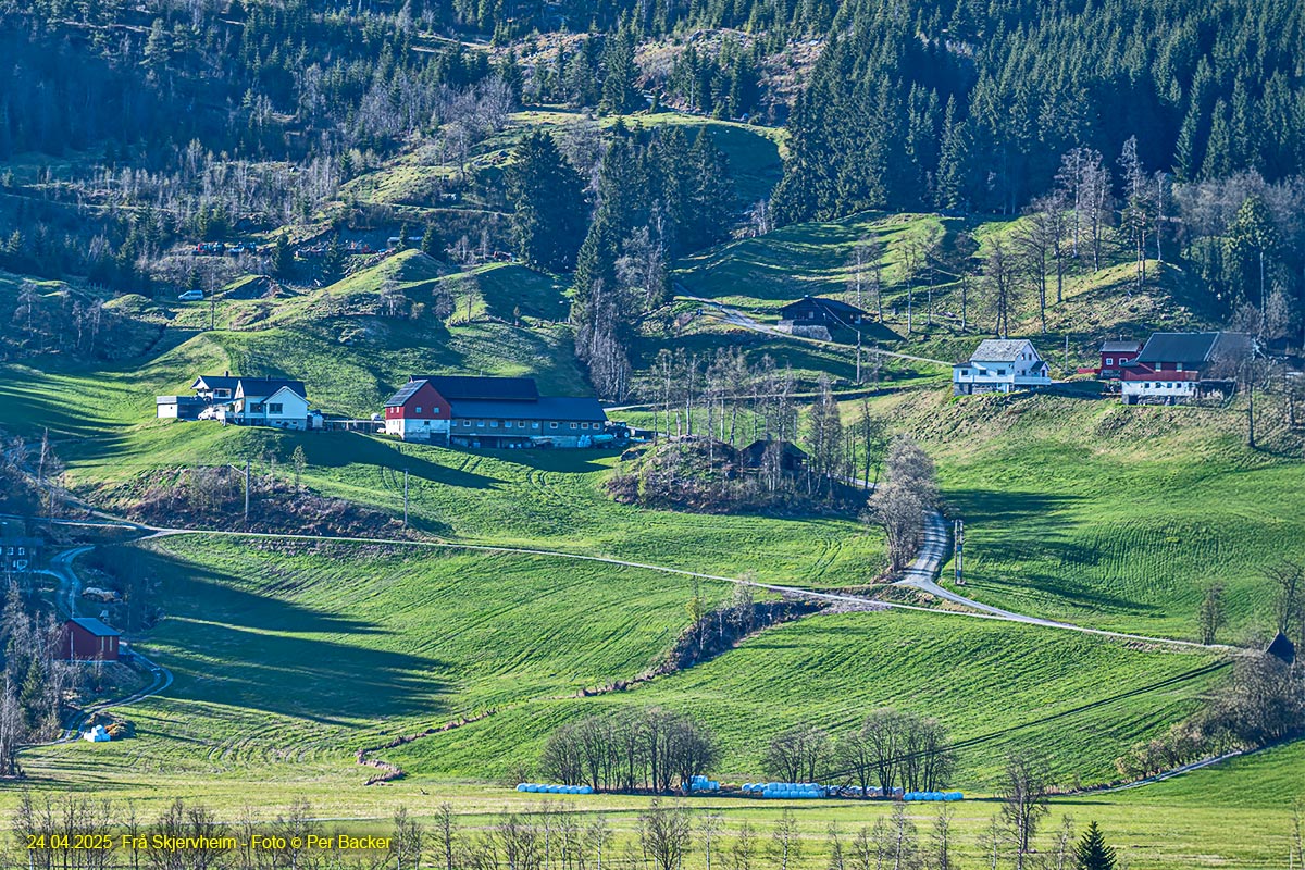 Frå Skjervheim