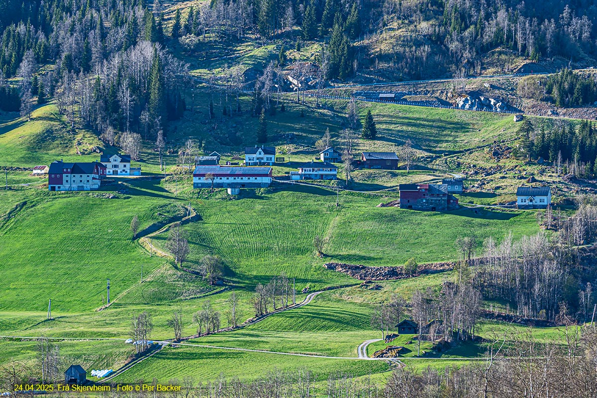 Frå Skjervheim
