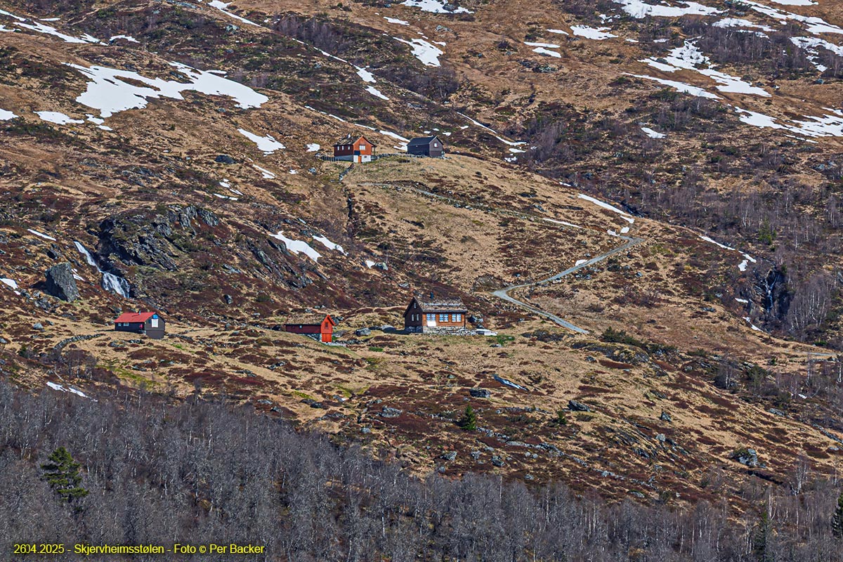 Skjervheimsstølen