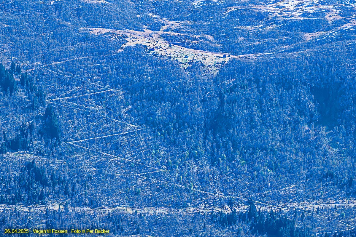Vegen til Fossen