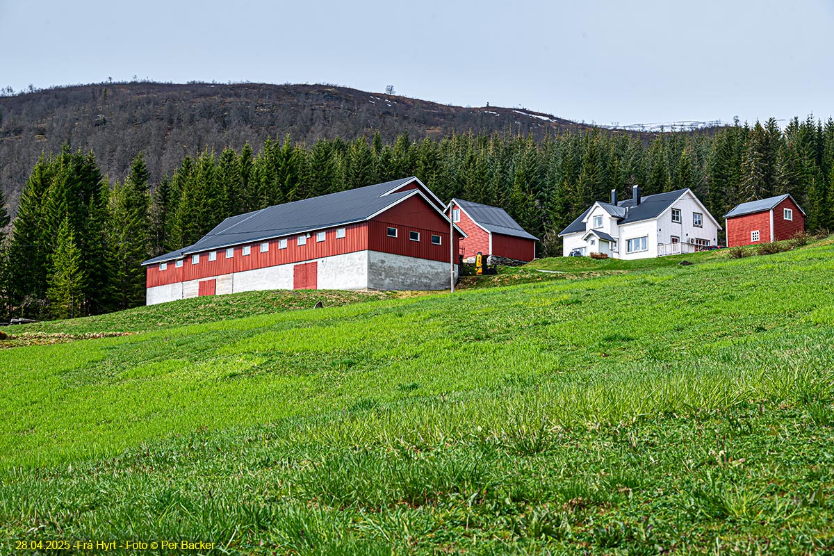 Frå Hyrt