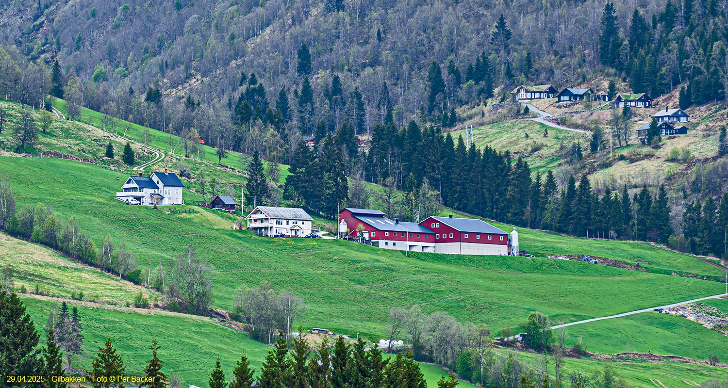 Gilbakken