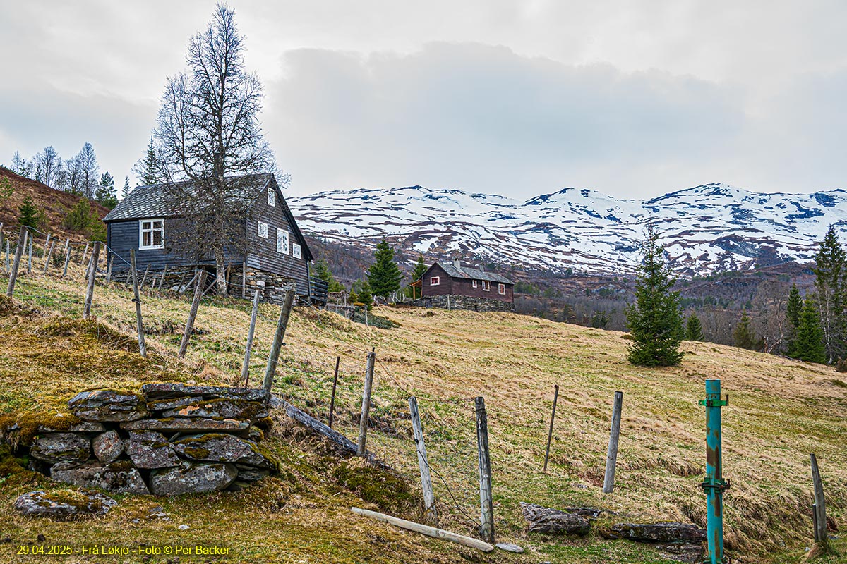 Frå Løkjo (Eensstølen)