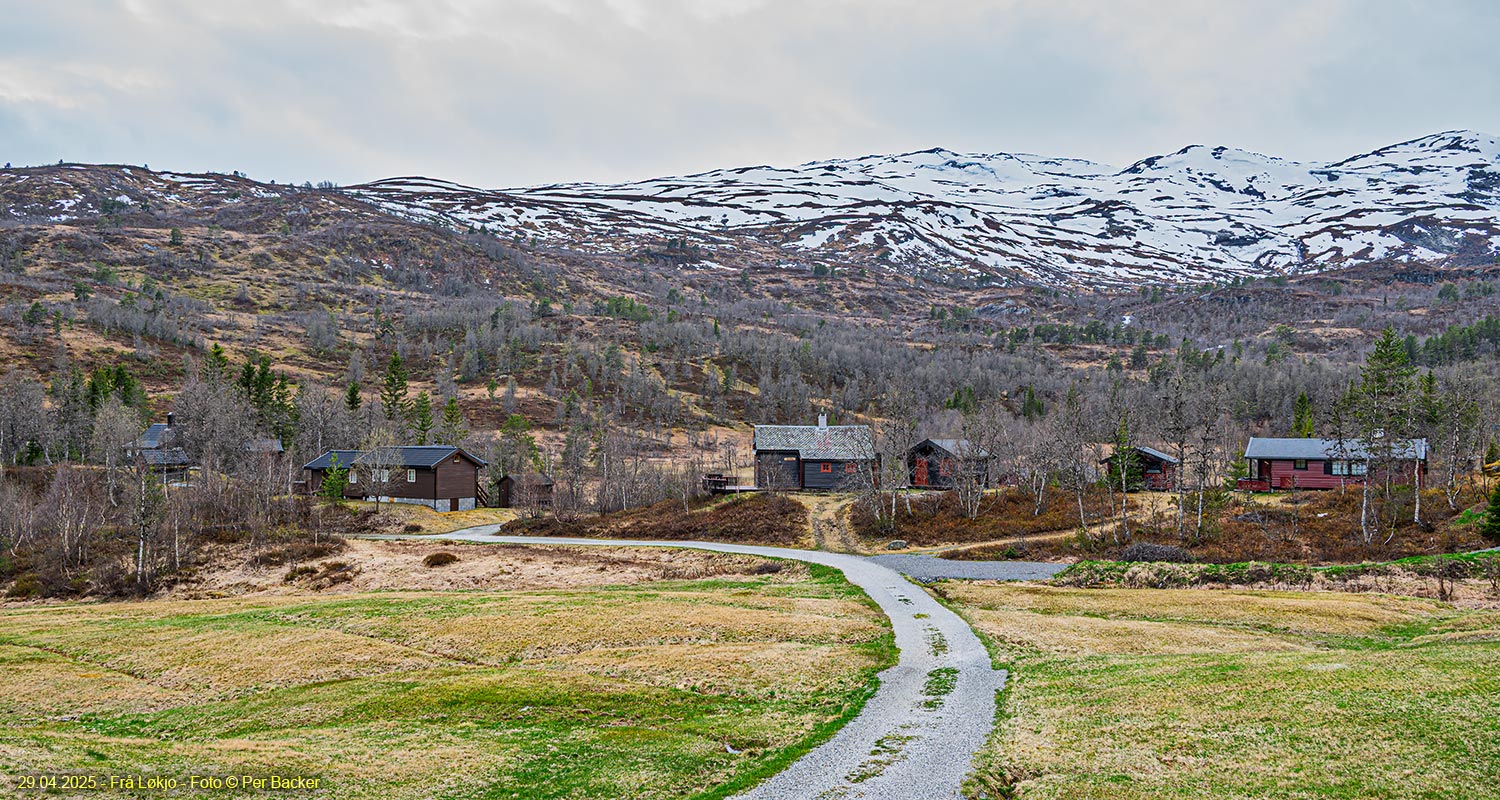 Frå Løkjo