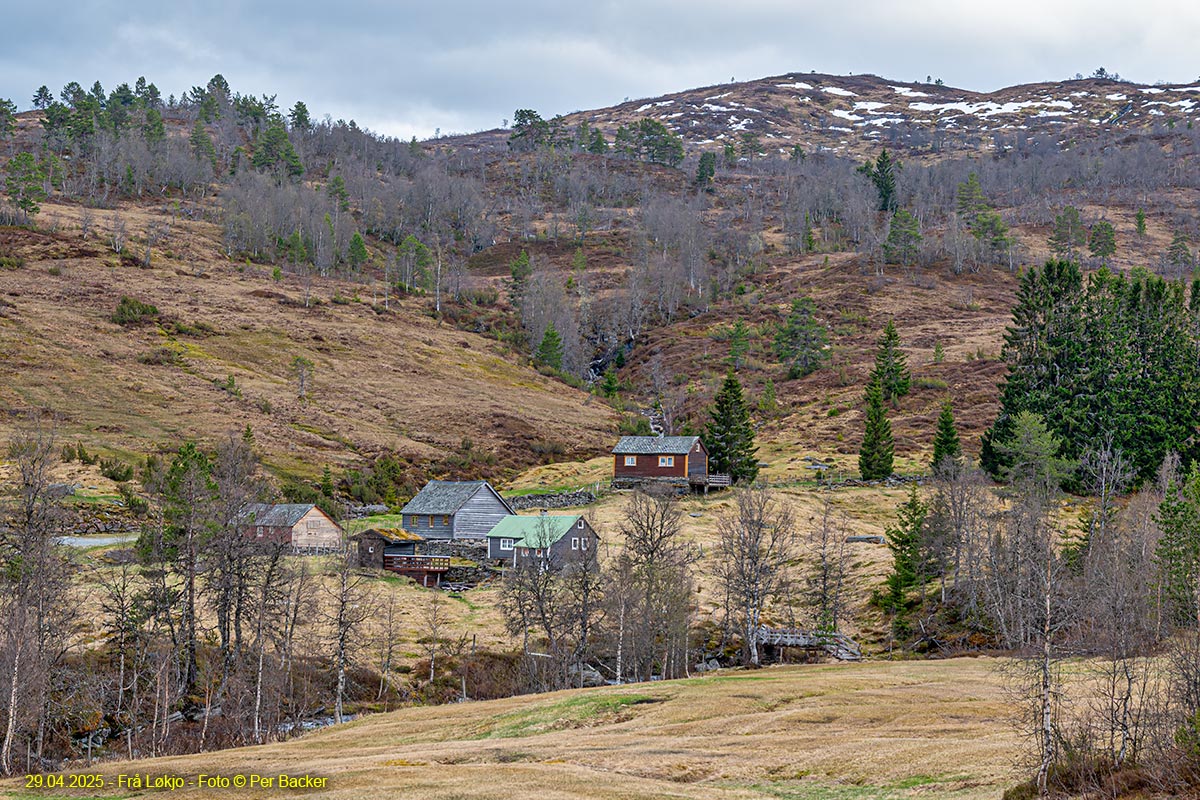Frå Løkjo (Eensstølen)