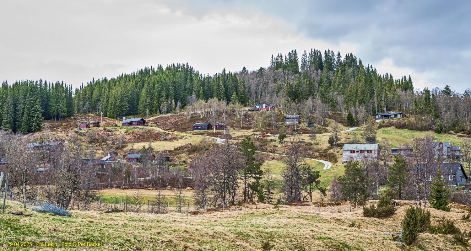 Frå Løkjo