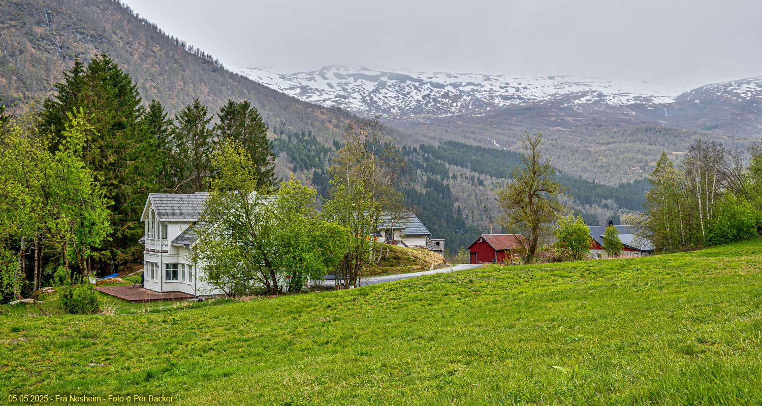 Frå Nesheim