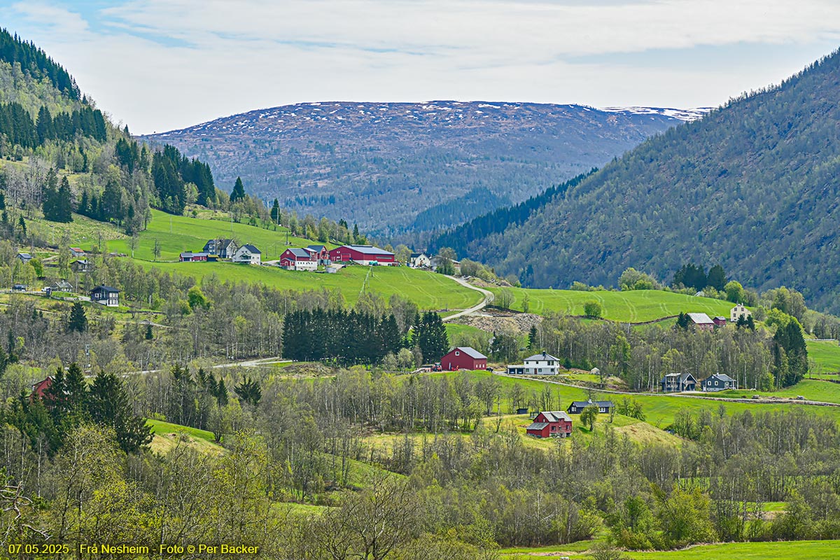 Frå Nesheim
