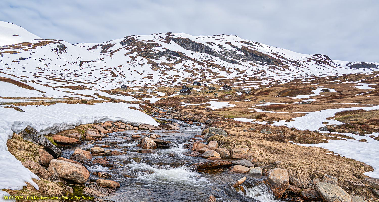 Frå Mørkvesstølen