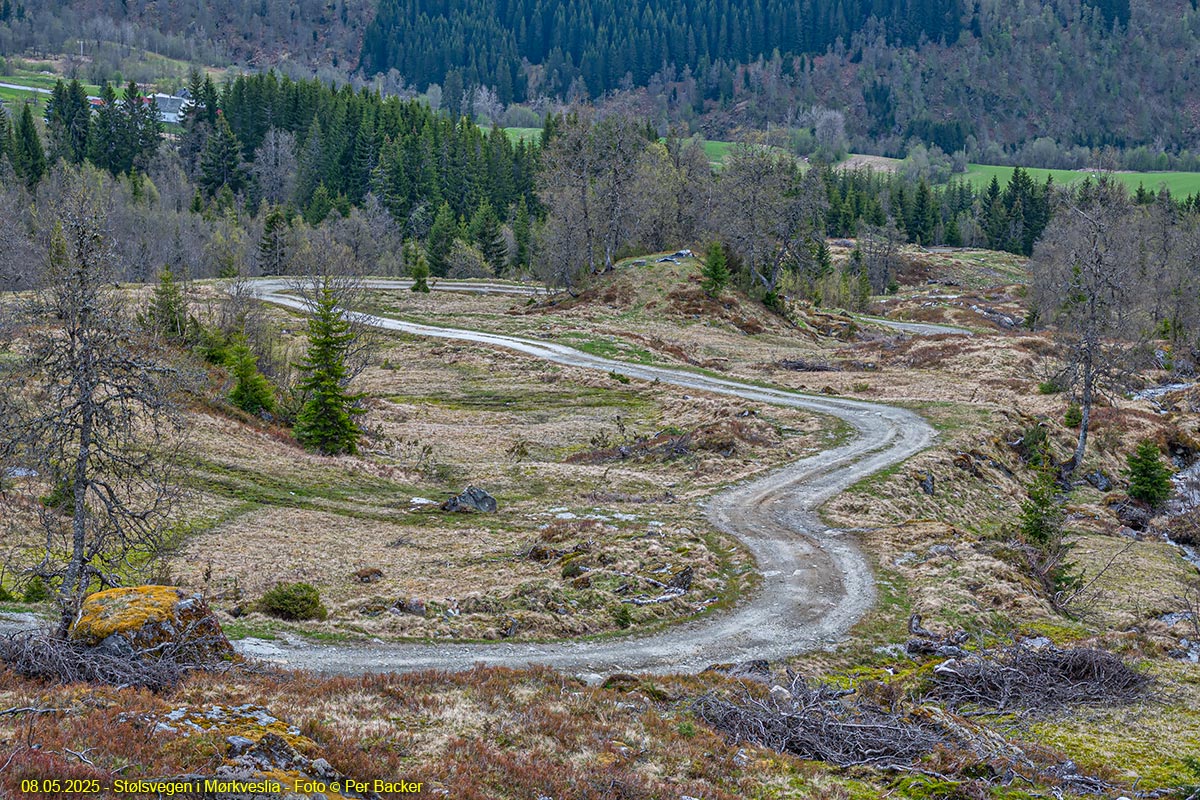 Frå Stølsvegen til Mørkvesstølen