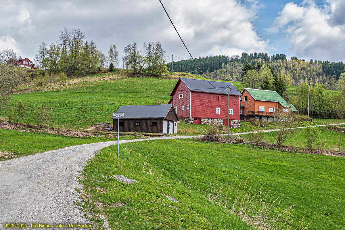 Frå Bidne