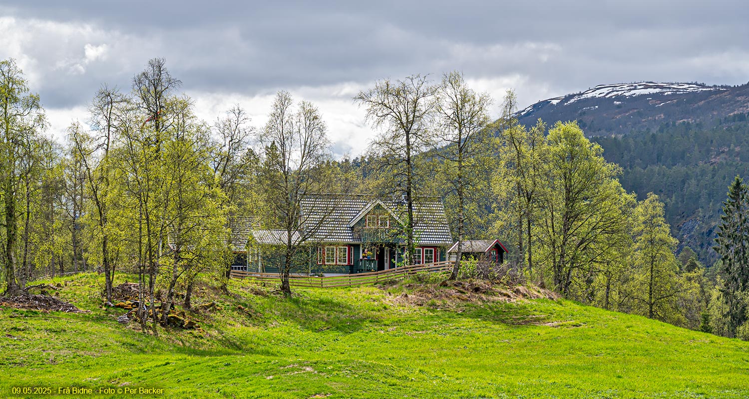 Frå Bidne