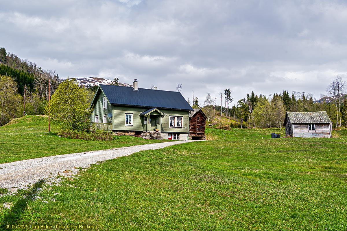 Frå Bidne