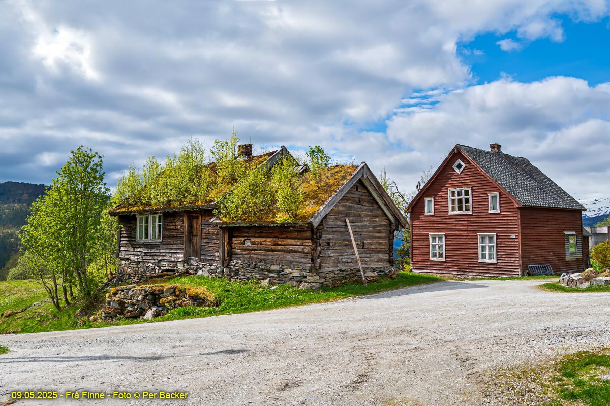 Frå Finne