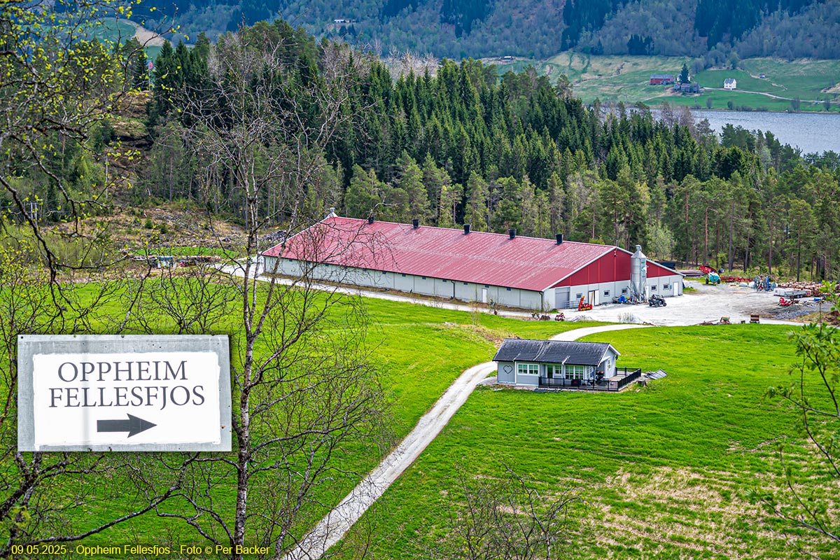 Oppheim Fellesfjos