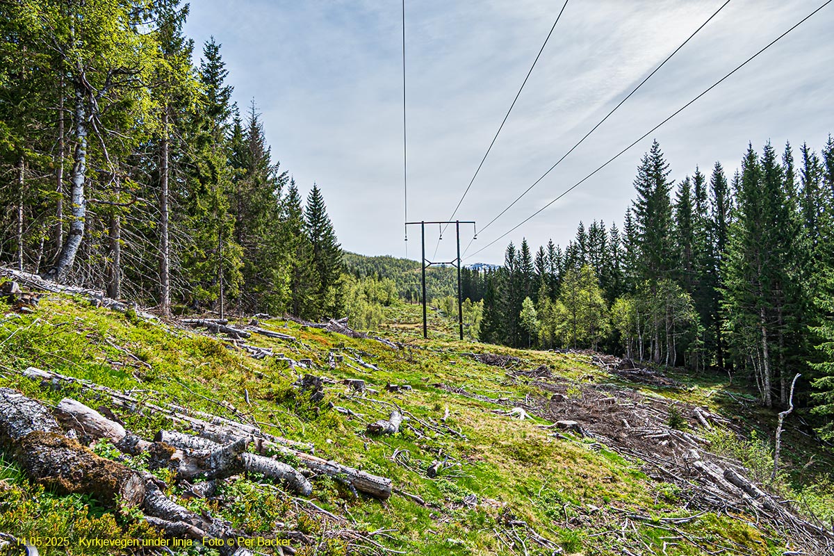 Kyrkjevegen under kraftlina