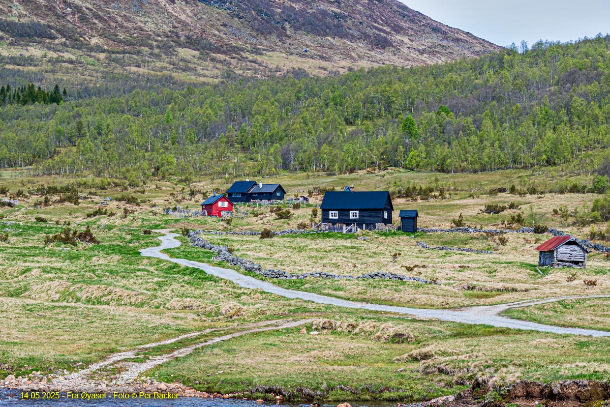 Frå Øyaset