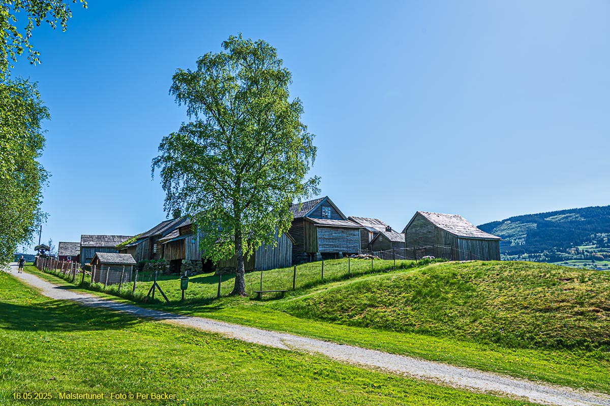 Mølstertunet