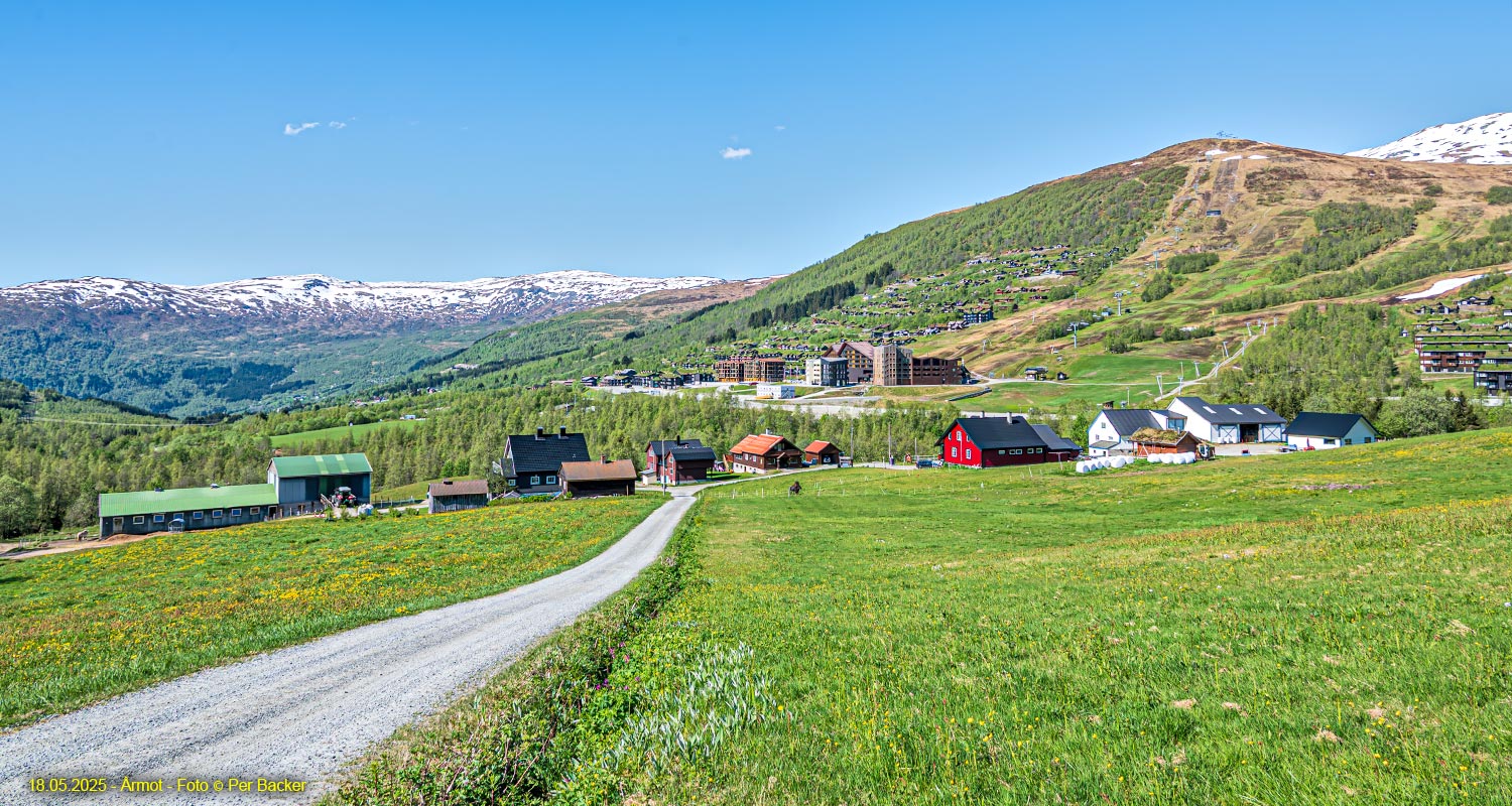 Årmot