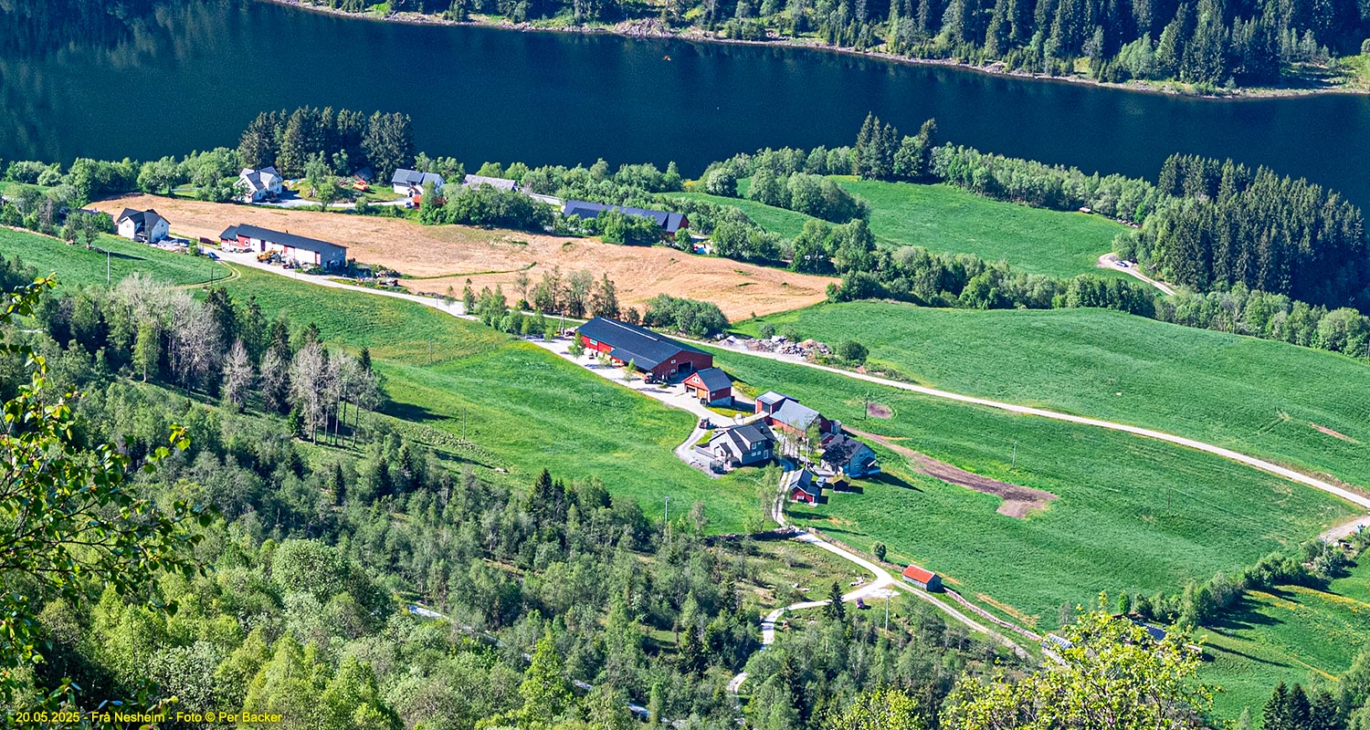 Frå Nesheim