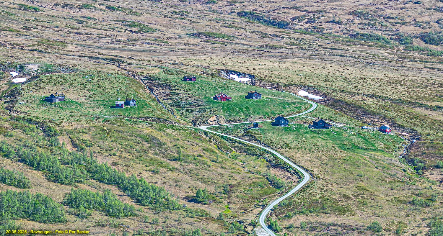 Revhaugen