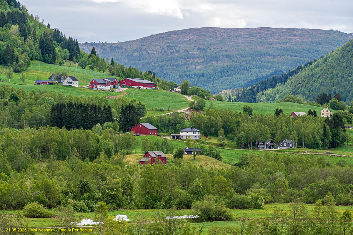 Frå Nesheim