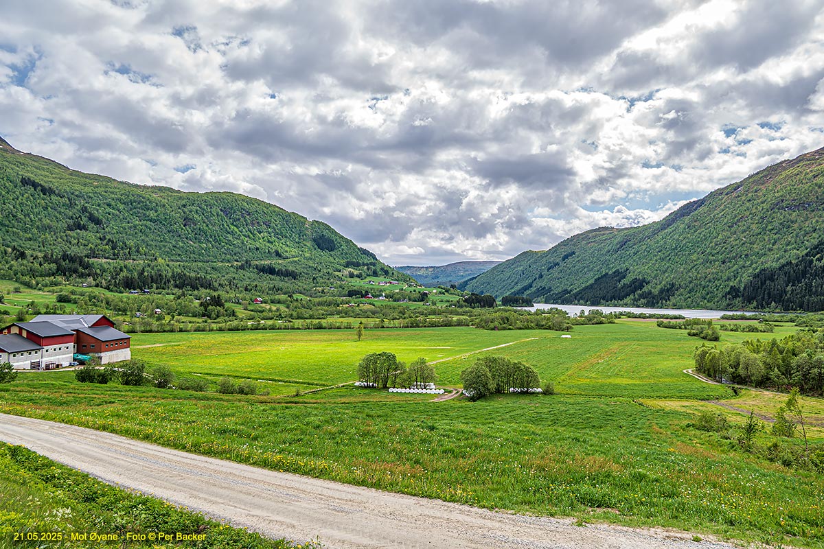 Mot Øyane