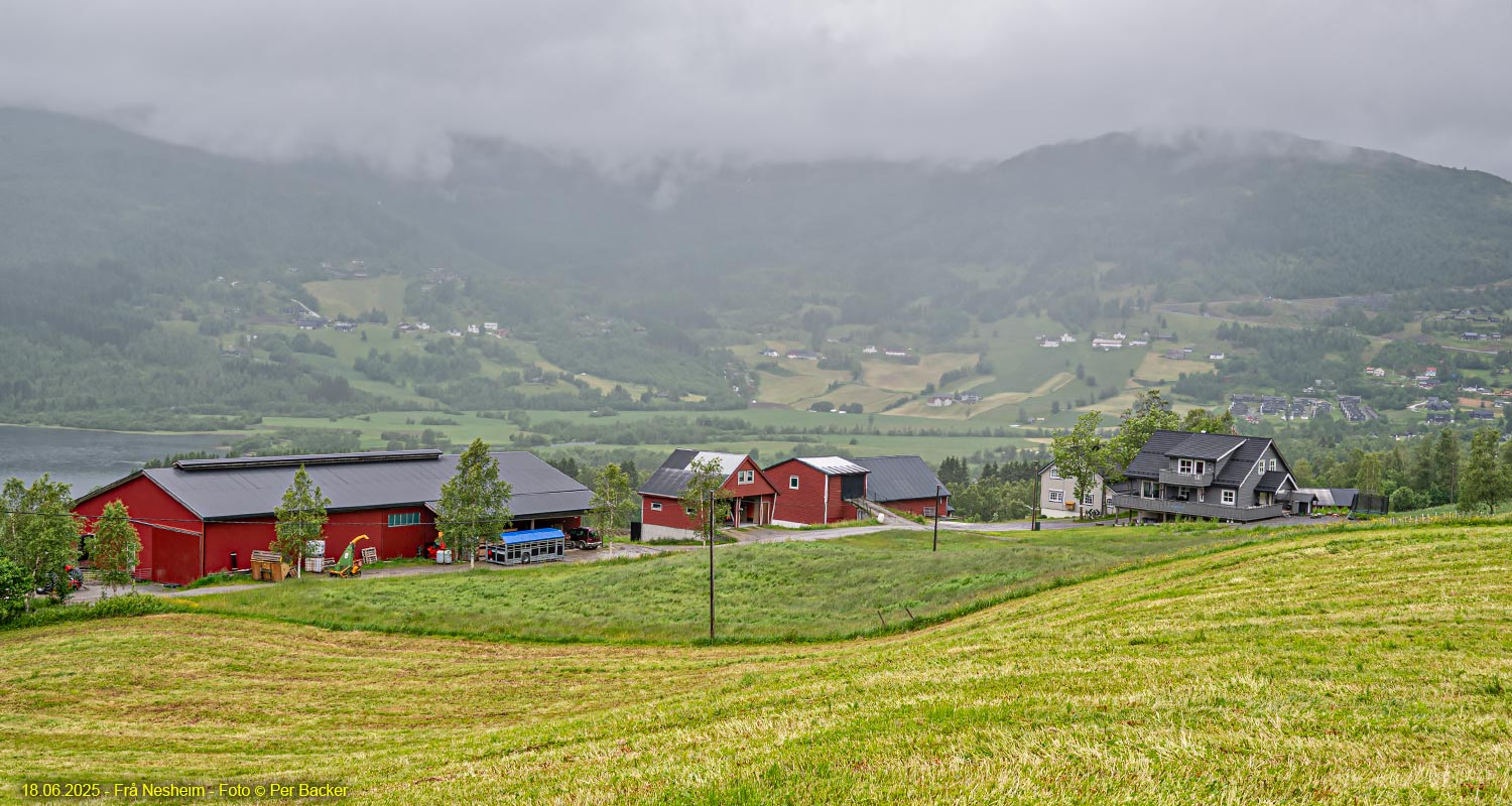 Frå Nesheim