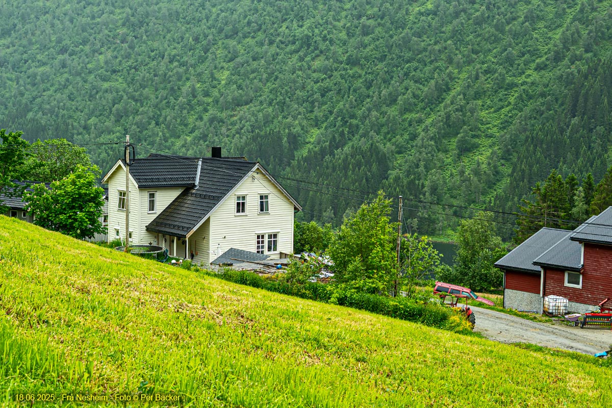 Frå Nesheim
